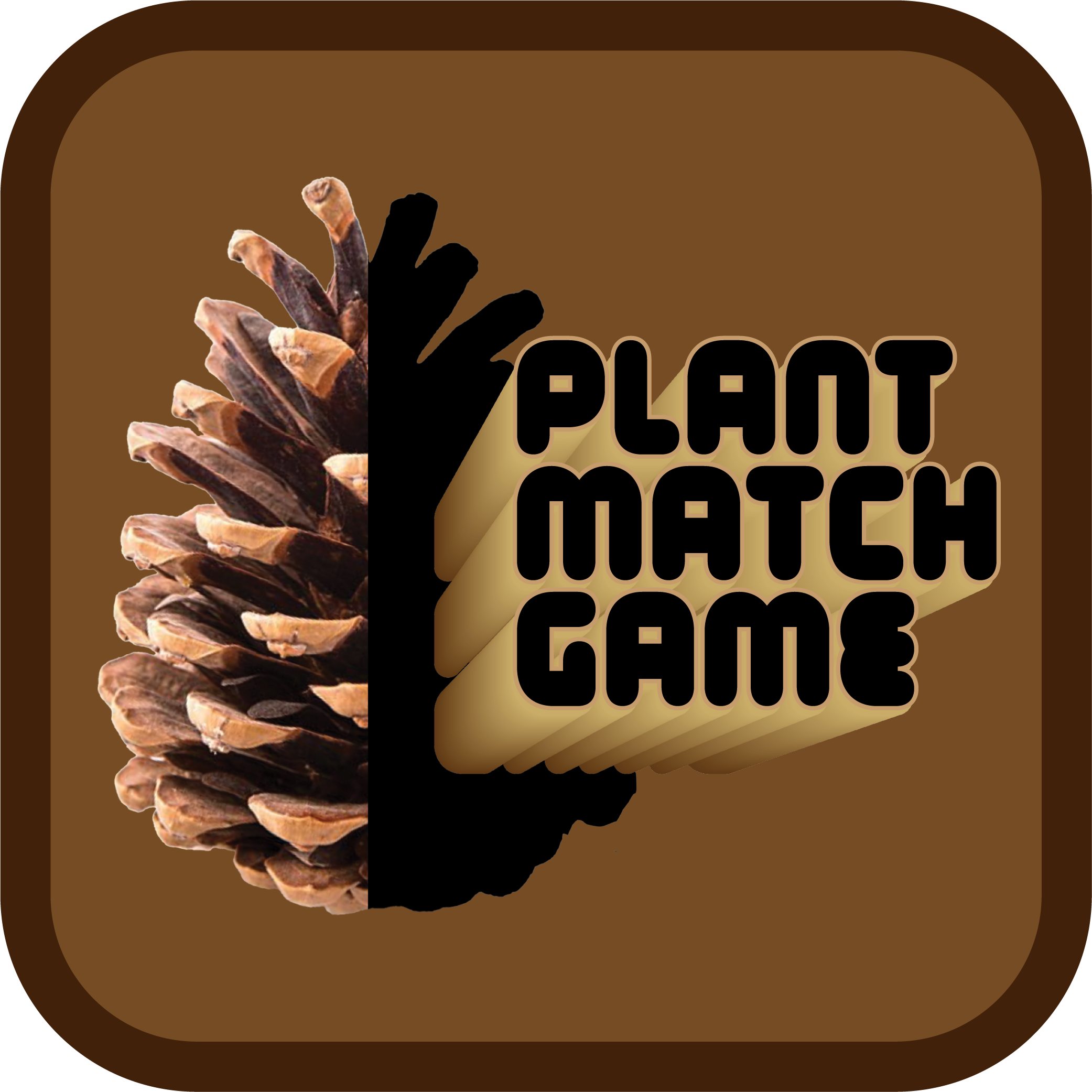 Plant Match Game