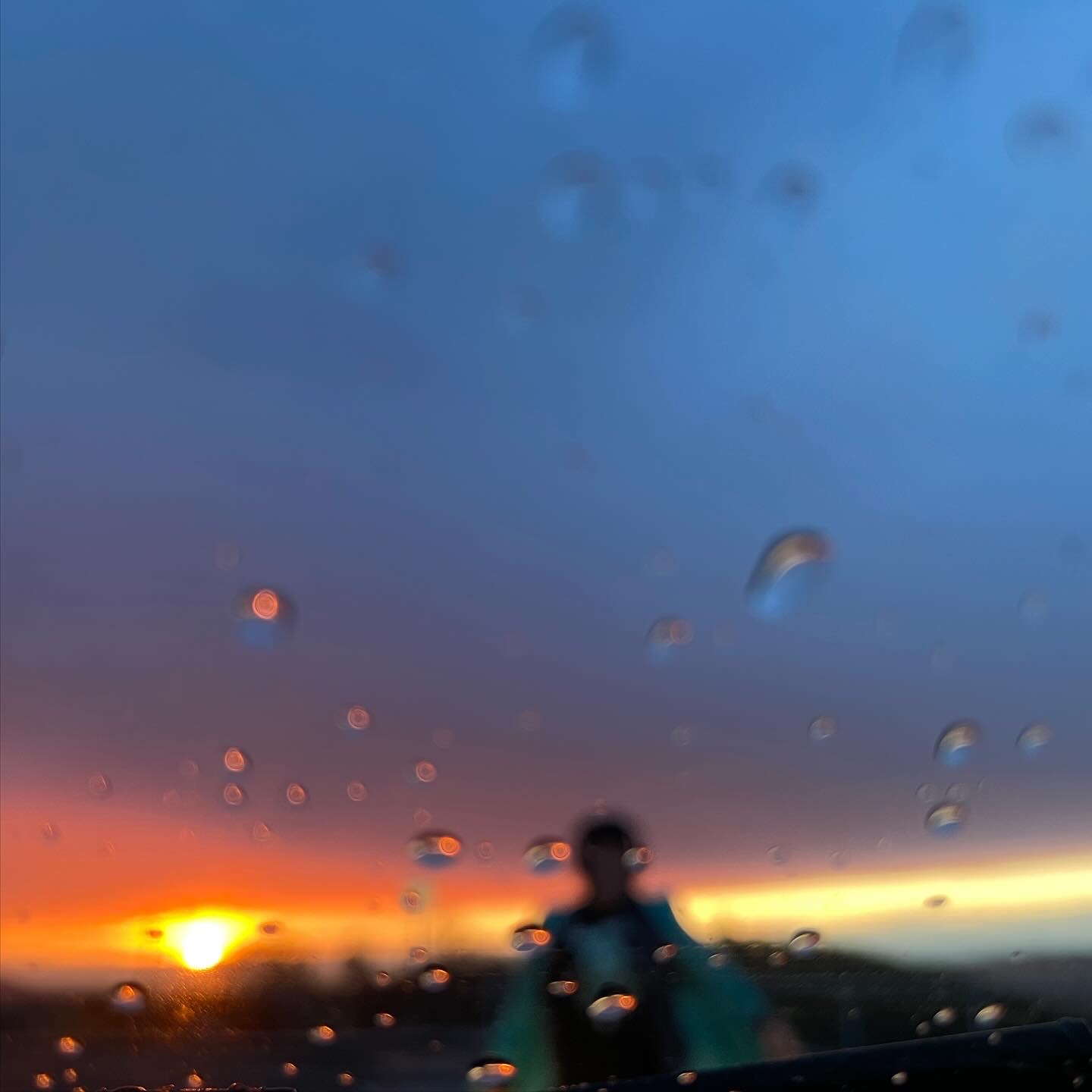 Wet Sunset